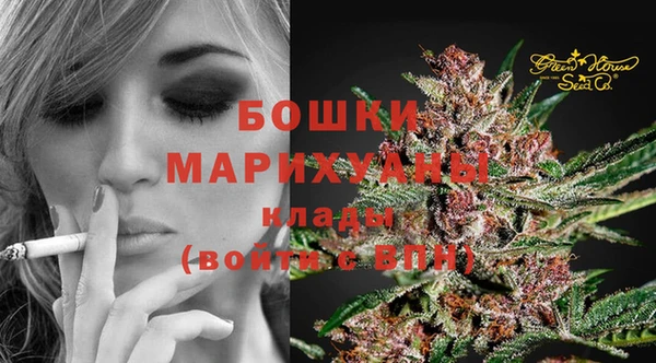 apvp Няндома