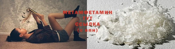 PSILOCYBIN Балабаново