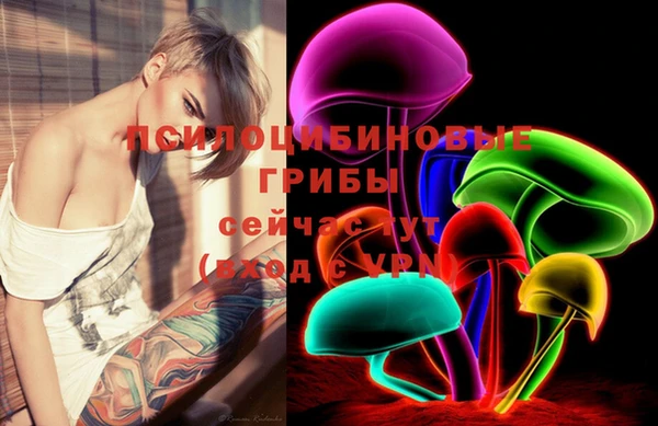apvp Няндома